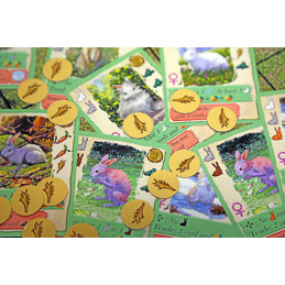Kaninchen - Familienspiel - Brettspiel