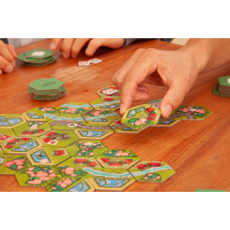 Havalandi - Familienspiel - Brettspiel