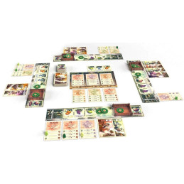 Tree Society  - Brettspiel - Gesellschaftsspiel