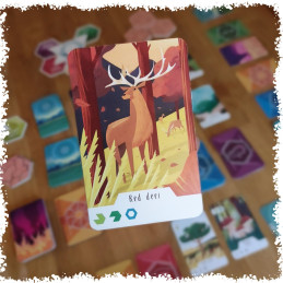 Ecesfera - Brettspiel - Familienspiel