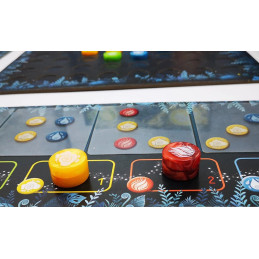 Boussanga - Legespiel - Strategiespiel