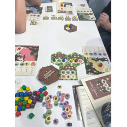 Gnome Kingdom - Gesellschaftsspiel