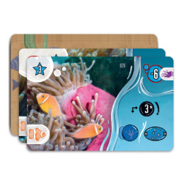 Aquaria | Skellig Games