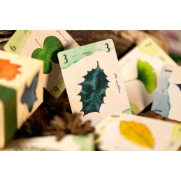 13 Leaves